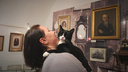 Усы, лапы и хвост как произведение искусства: в Архангельске хотят открыть музей кошки