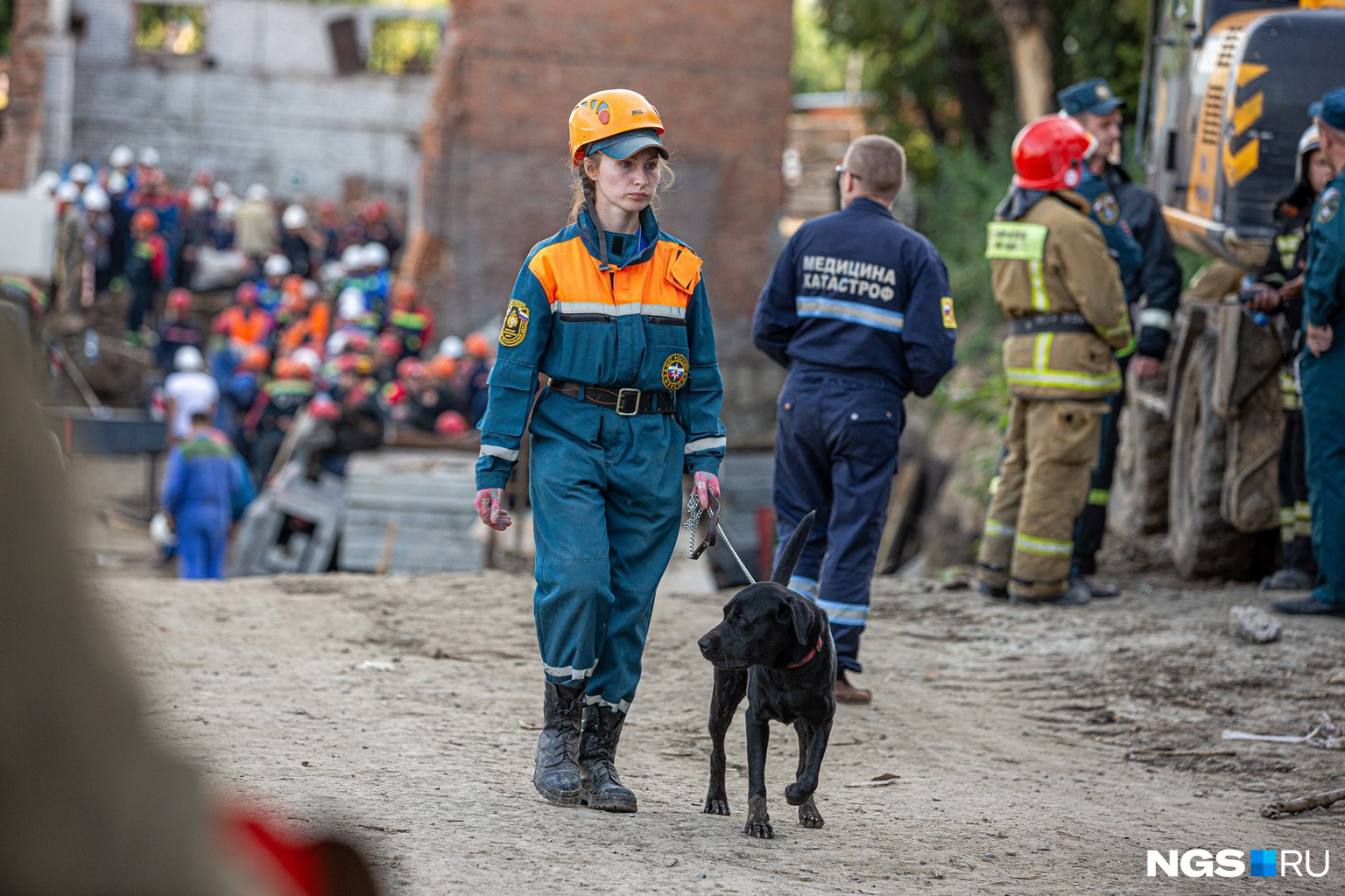 Собаки работали, пока спасатели руками разгребали завалы 