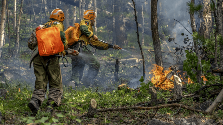 Подсчитан предварительный ущерб от лесных пожаров в крае