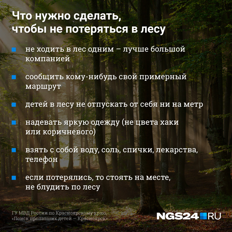 Что нужно делать в лесу если заблудился