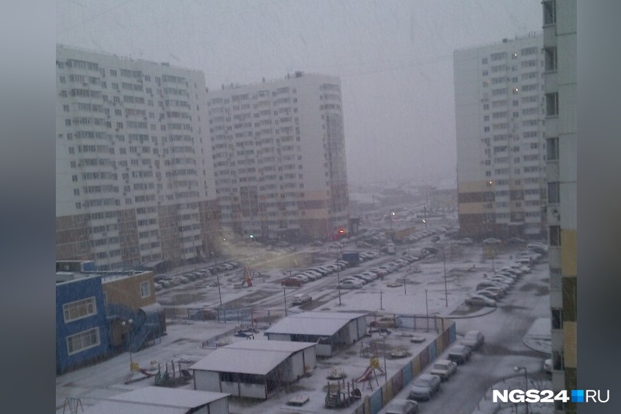 Несколько снежных дней в январе Несколько снежных дней в январе