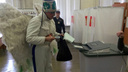 Древарх попытался «удобрить» избирательный участок в Архангельске конским навозом