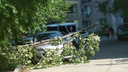 «Приехали полицейские, разбираются»: в Волгограде на легковую машину возле школы обрушилось дерево