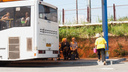 К челябинским садам запустят регулярные автобусы