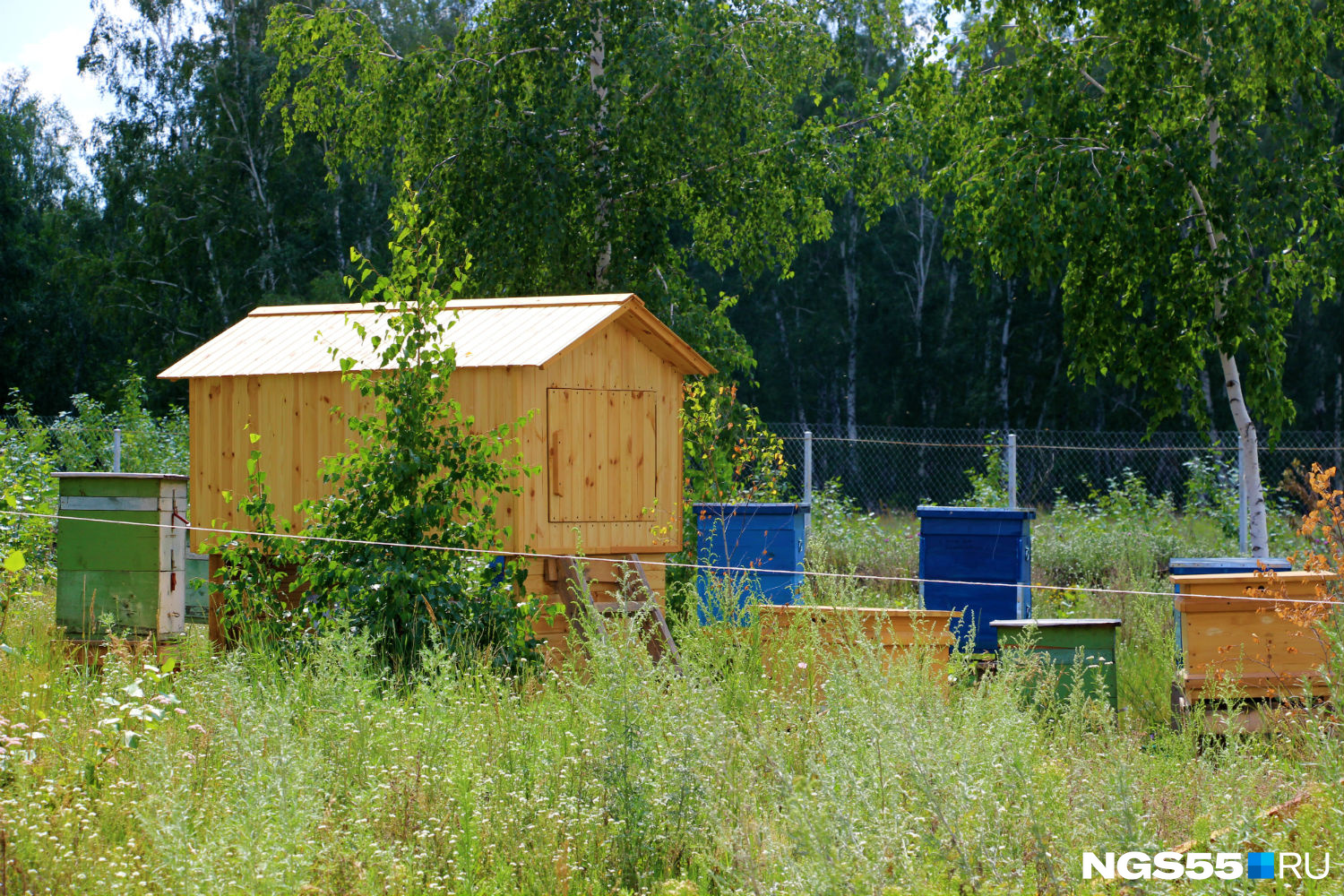 Пчелиные ульи окружают деревянный домик — там гостям предлагают переночевать