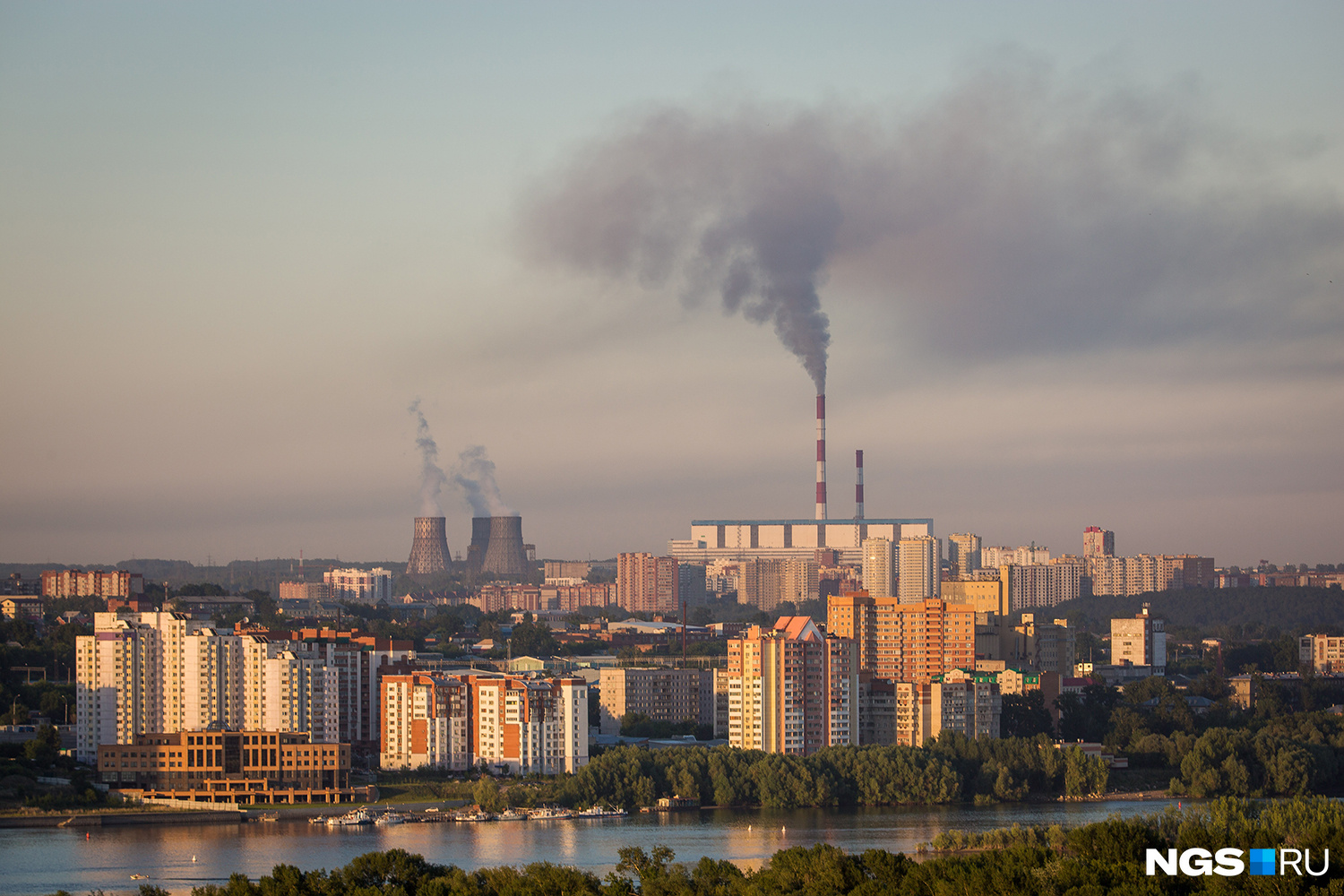 Борьбу за чистый воздух в Новосибирске предложили начать с обустройства газонов