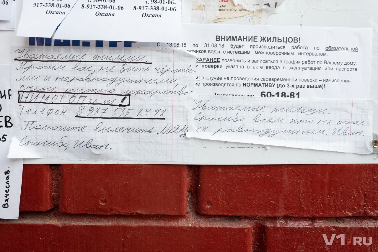 Ванечка написал объявления о помощи и расклеил их у подъездов Ванечка написал объявления о помощи и расклеил их у подъездов