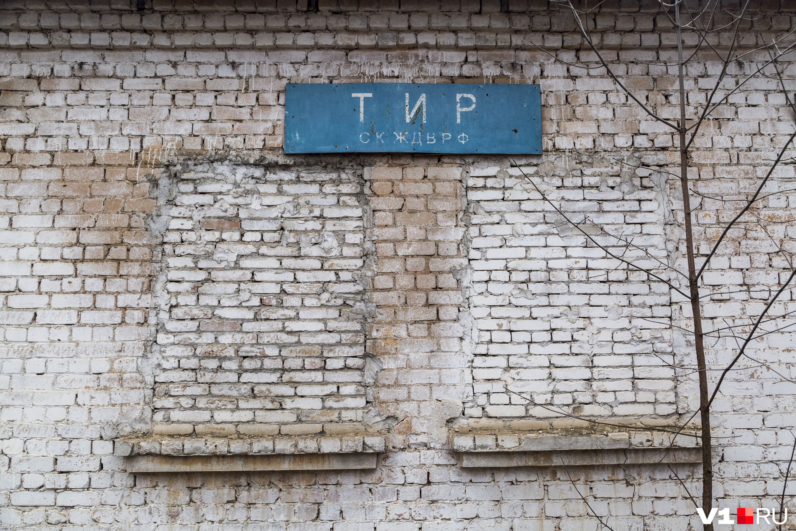 Тира больше нет Тира больше нет