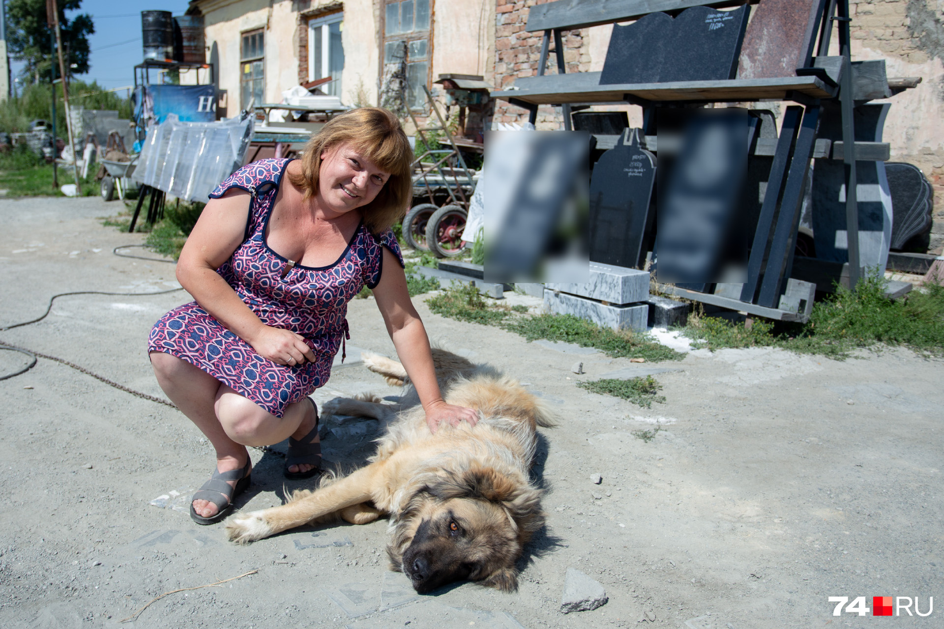Людмила Солонина называет собаку Грету «кошкой на цепи», хотя выглядит она очень внушительно. Родители Греты — овчарка и алабай