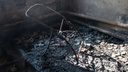 «Ходил и разбрасывал спички»: в Самаре перед судом предстанет мужчина, который сжег своих детей
