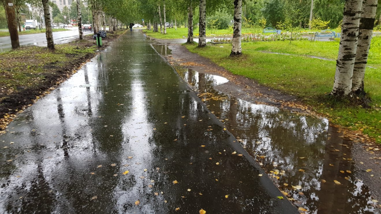 Пешеходы по лужам а асфальт. Деревянный на мост для перехода лужи.