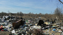 В Ярославле хотят разгрести гигантское мусорное поле