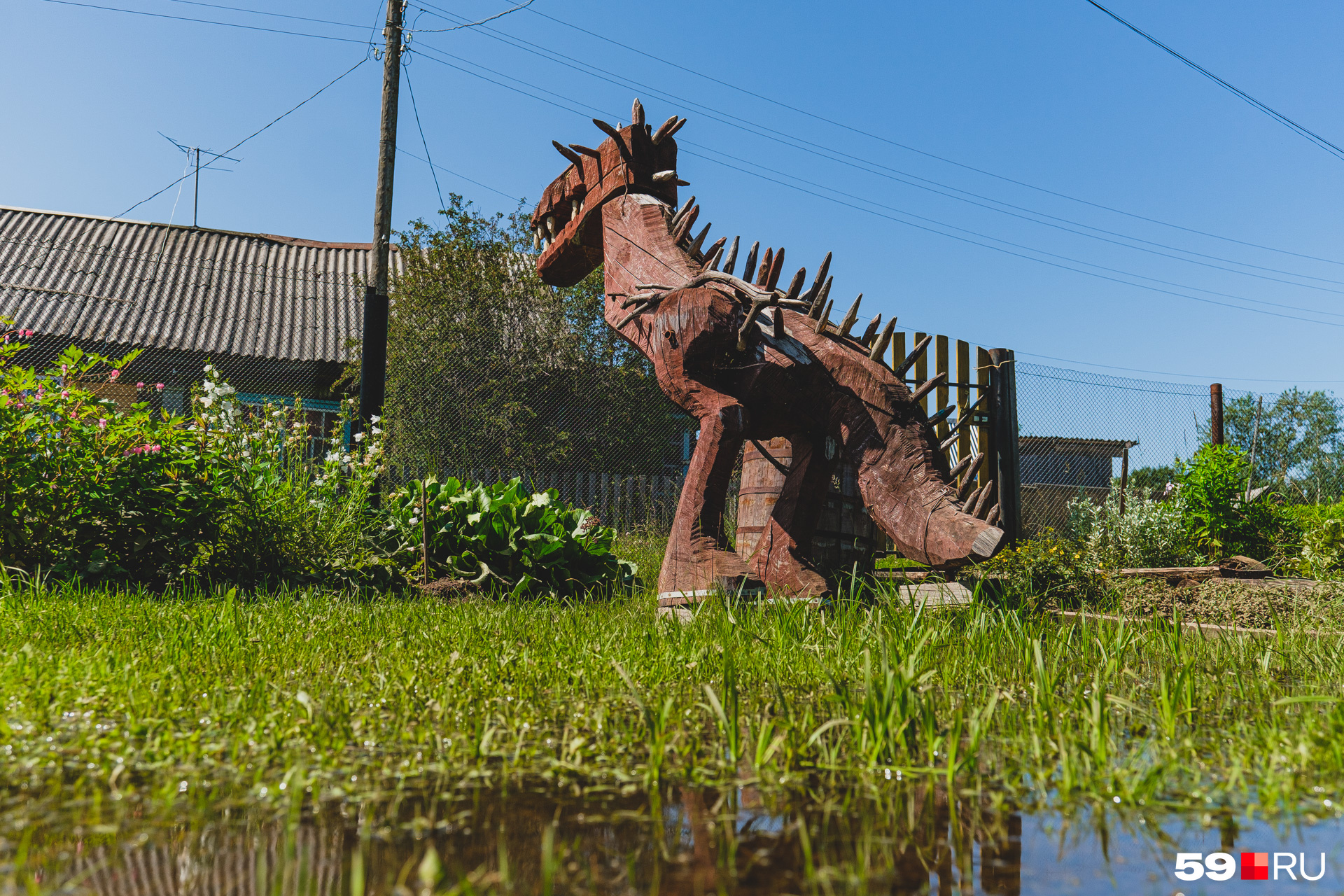 Большой деревянный динозавр охраняет затопленный огород