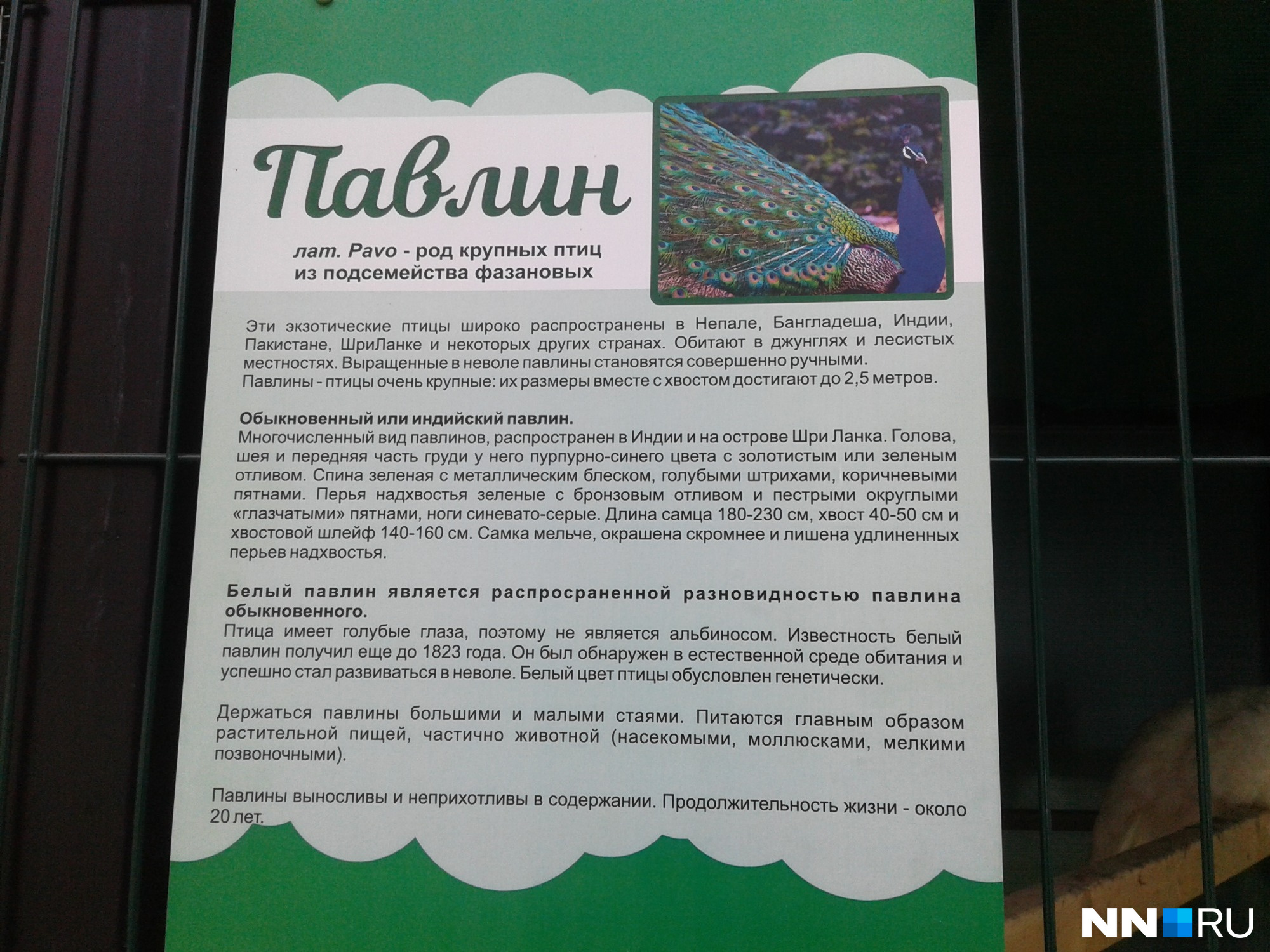 Подробное описание Подробное описание