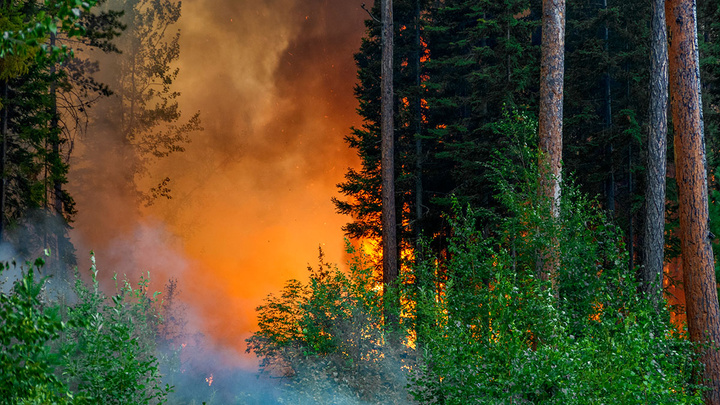 Сократилась площадь пожаров в красноярских лесах: новые кадры тушения на земле и с воздуха