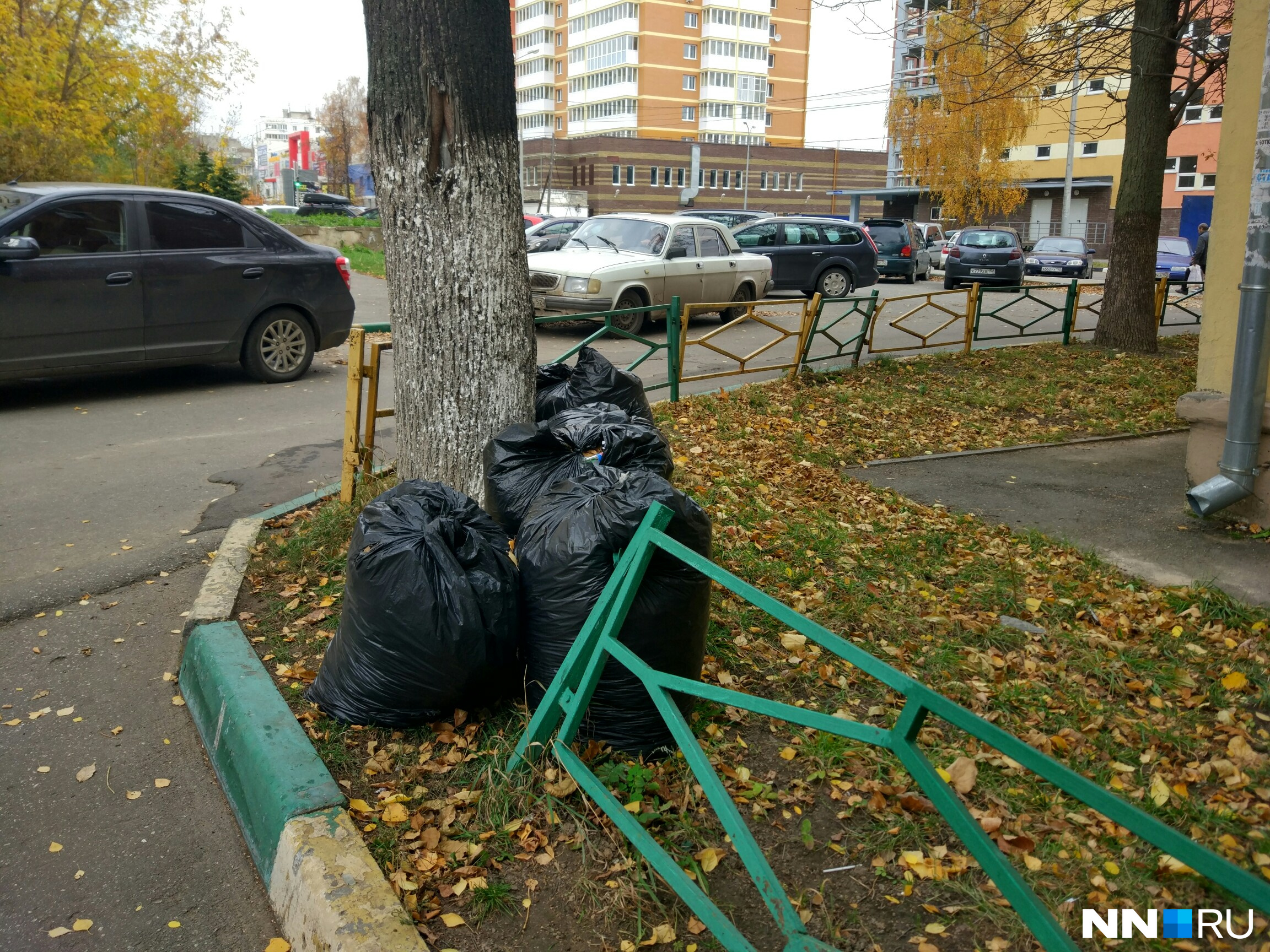 «Могилы» для жучков-паучков «Могилы» для жучков-паучков