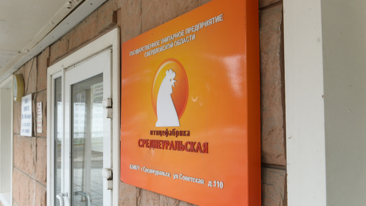 Среднеуральская птицефабрика отменила приказ об увольнении всех сотрудников