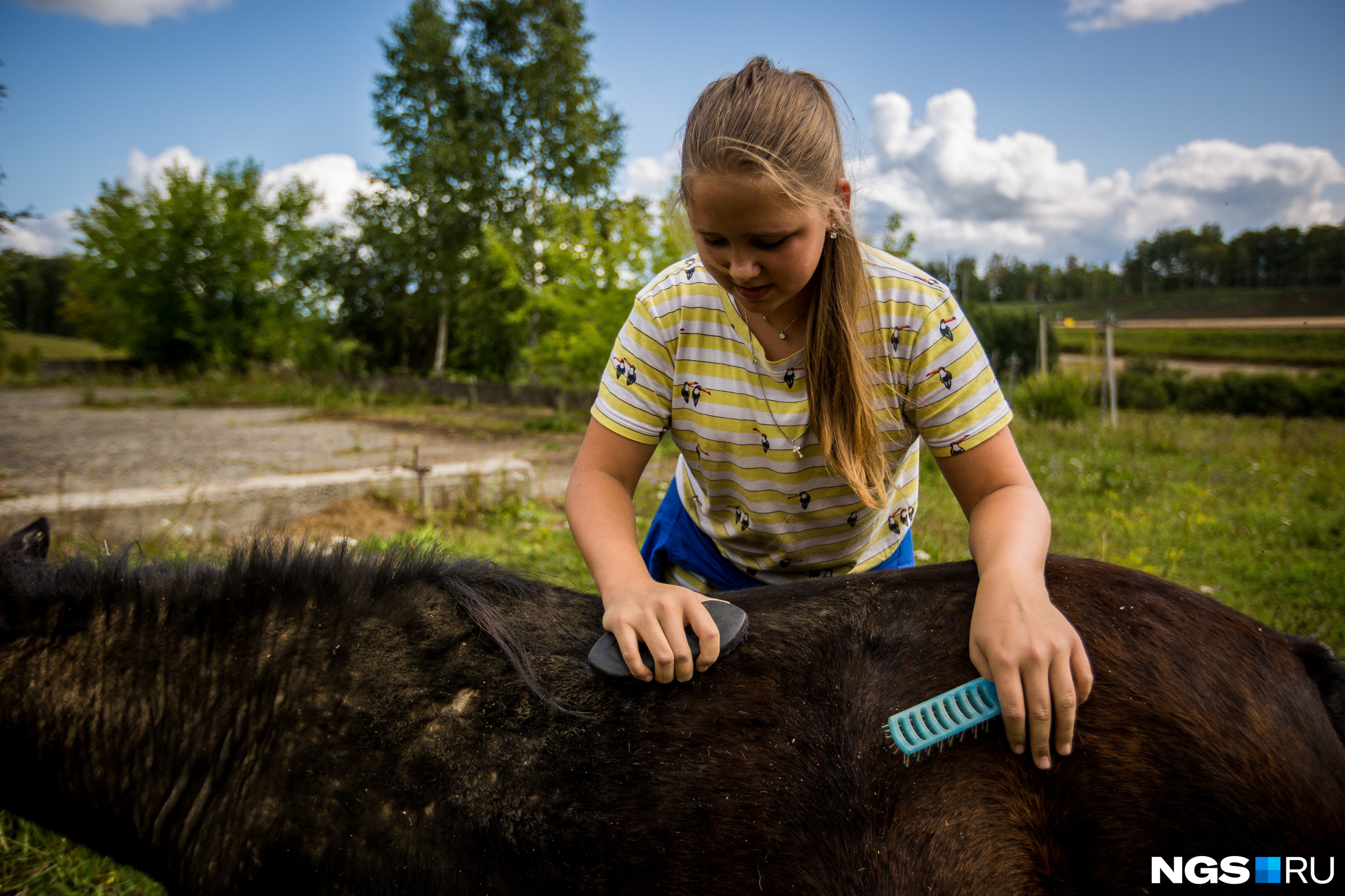 В уходе за лошадками владельцам табуна помогают местные дети