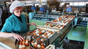 «Стараемся сбагрить побольше»: на птицефабрике раскрыли тайну появления яиц к Пасхе