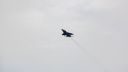 Самолёты над Новосибирском: Путин устроил внезапную проверку военным