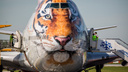 В Новосибирск прилетел
первый двухпалубный «тигролёт» из Сочи