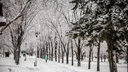 Новосибирцы завалили соцсети красивыми фотографиями снега в Академгородке
