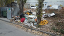 «Здесь бегают крысы»: рядом с детским садом в Волгограде образовалась бесхозная свалка