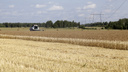 Зауральские аграрии собрали больше миллиона тонн зерна