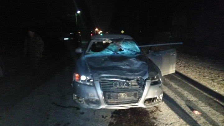 В Прикамье осудили водителя Audi, который насмерть сбил троих человек на трассе