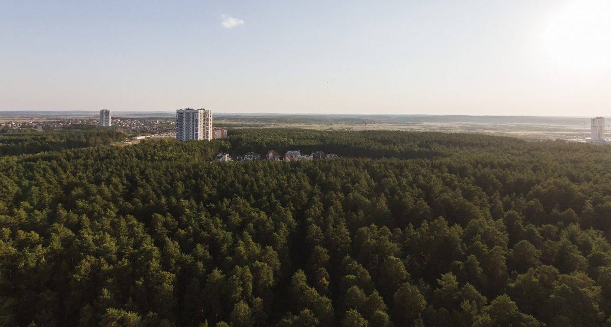 Жк лес екатеринбург. Ньютон парк вид из окна. Вид на лес с 7 этажа. Ньютон парк Екатеринбург вид из окон. ЖК С видом на лес парк.