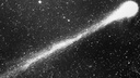Сначала комета, потом звёздный дождь: над Новосибирском пронесётся поток метеоров