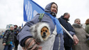 Холод собачий — настроение отличное: смотрим десятку лучших снимков с праздника 1 Мая в Челябинске