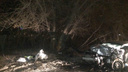 «Смяло как консервную банку»: в Самарской области водитель Chevrolet влетел в дерево