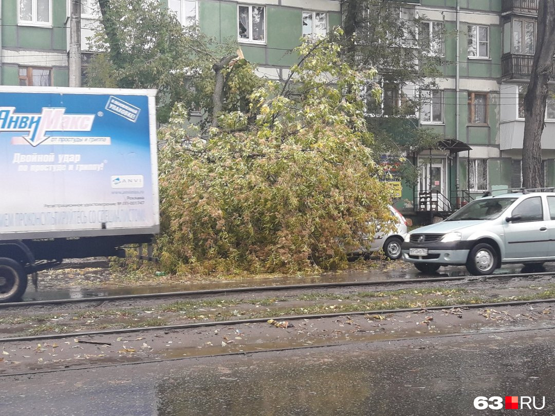На Алма-Атинской, 34 дерево «похоронило» машину
