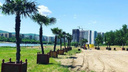 Пляж с пальмами в Красноярске открыли без проверки на бактерии