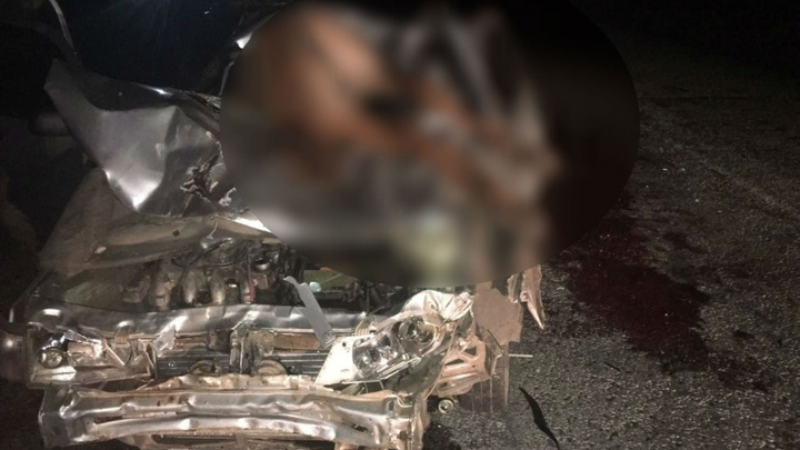 В Башкирии легковушка сбила табун лошадей: водитель чудом выжил