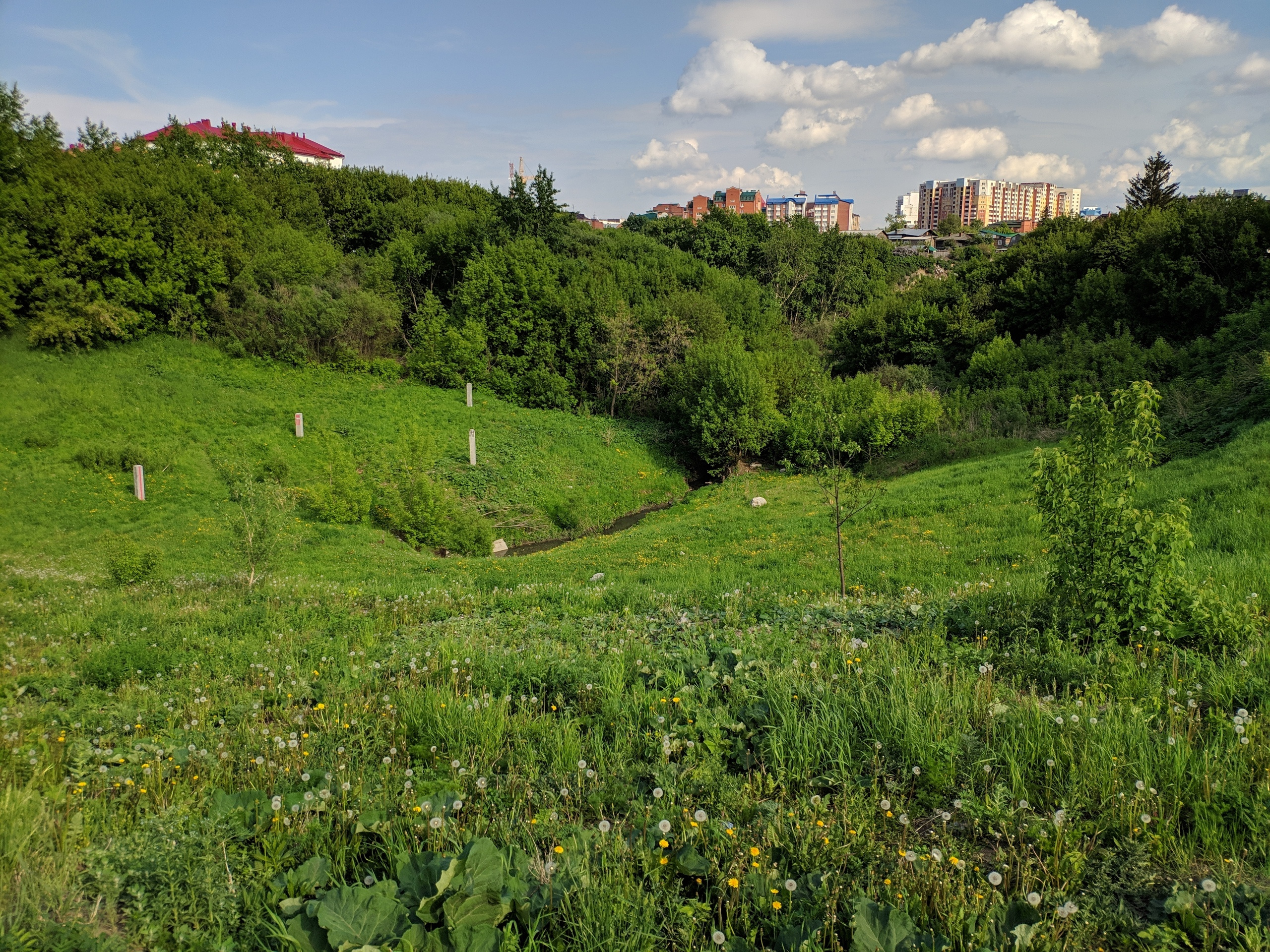 Экоактивисты выступают <a href="https://72.ru/text/gorod/65683431/" target="_blank" class="_">против решения застроить</a> уникальный природный ландшафт в центре города
