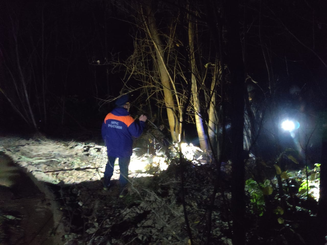 Еще одна фотография с места — спасатели обследуют лес вокруг предприятия, уточняют масштабы аварии