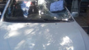 Месть за активность: ростовской общественнице разбили автомобиль за защиту Александровской рощи