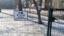 «Проявите инициативу»: челябинцам объяснили, как организовать во дворе площадку для выгула собак