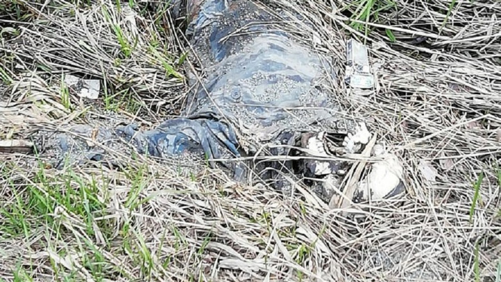 Следователи начали проверку после того, как участники «Майской велопрогулки» нашли скелет человека