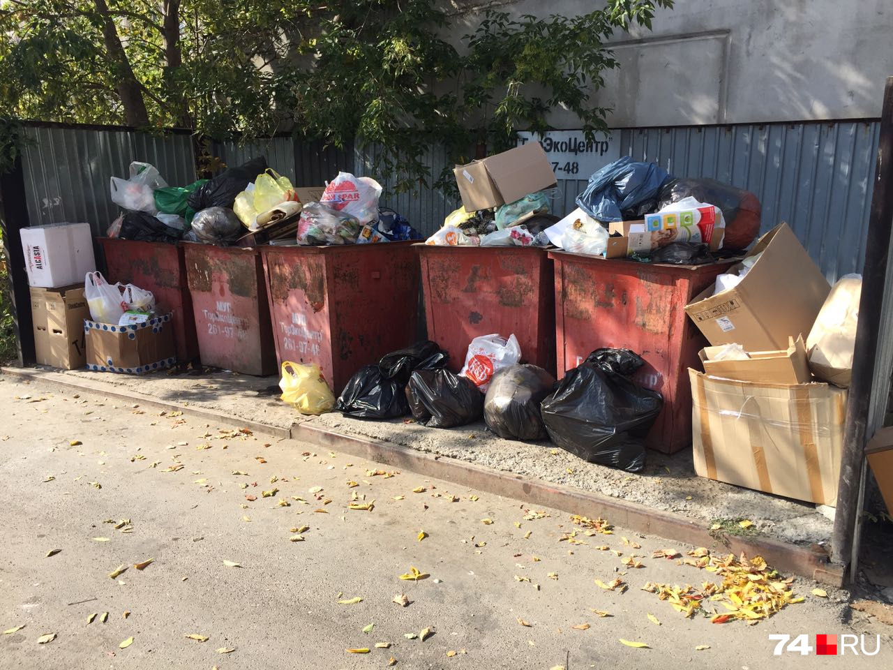 В центре города ситуация не лучше — на Энгельса, 44Б отходы не вывозят три дня В центре города ситуация не лучше — на Энгельса, 44Б отходы не вывозят три дня