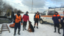 Хозяин не бросил попавшего в беду пса: в Ярославской области со льда Волги сняли мужчину с овчаркой