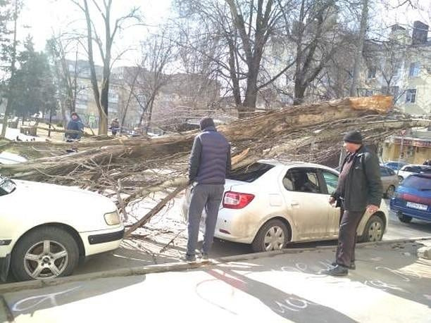 Водителям, припарковавшим машины на Ленина, сегодня не повезло