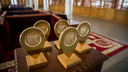 Более 2,5 тысячи новосибирцев предложили своих номинантов на «Народную премию НГС»