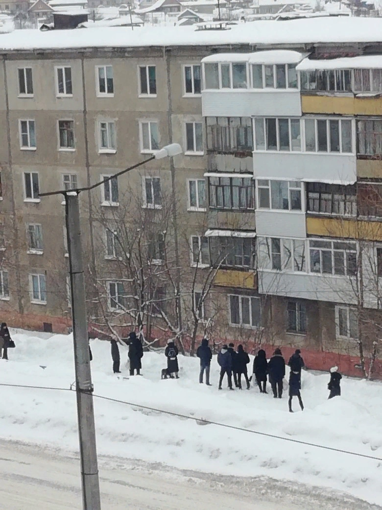 Горожане столпились, наблюдая за животным Горожане столпились, наблюдая за животным