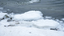 В Ростовской области ребенок погиб, провалившись под лед