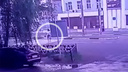 Заметалась от ужаса: появилось видео, как фургон сбил детскую медсестру
