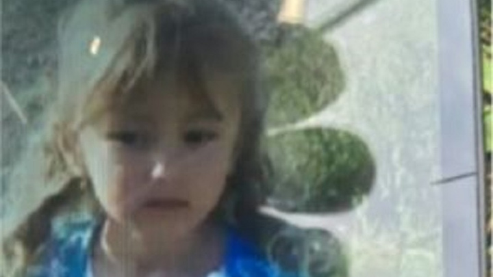 Нижегородцев просят сохранять записи с регистраторов с места, где пропала 5-летняя девочка