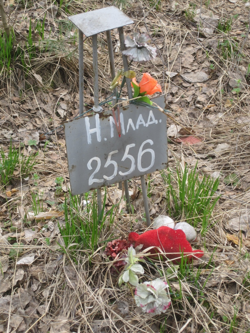 Могила неопознанного младенца Могила неопознанного младенца